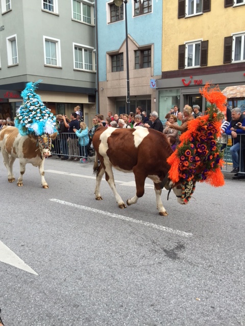 チロル 牛おろし祭り みゅう中欧ブログ オプショナルツアー 現地ツアーの みゅう