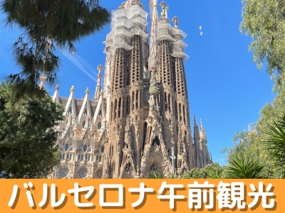 午前 世界遺産サグラダ・ファミリア入場ツアー ～日本語で詳しく解説 